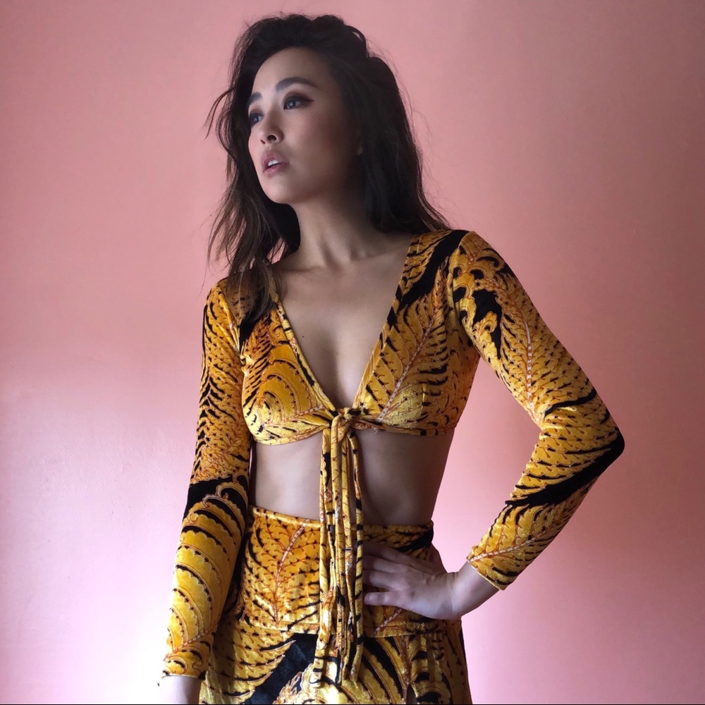 Vintage Velvet Gold Leaf Tie Front Crop Top